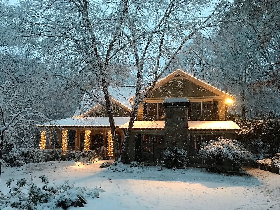 Christmas Light Installation Winter Wonderlights Atlanta,
